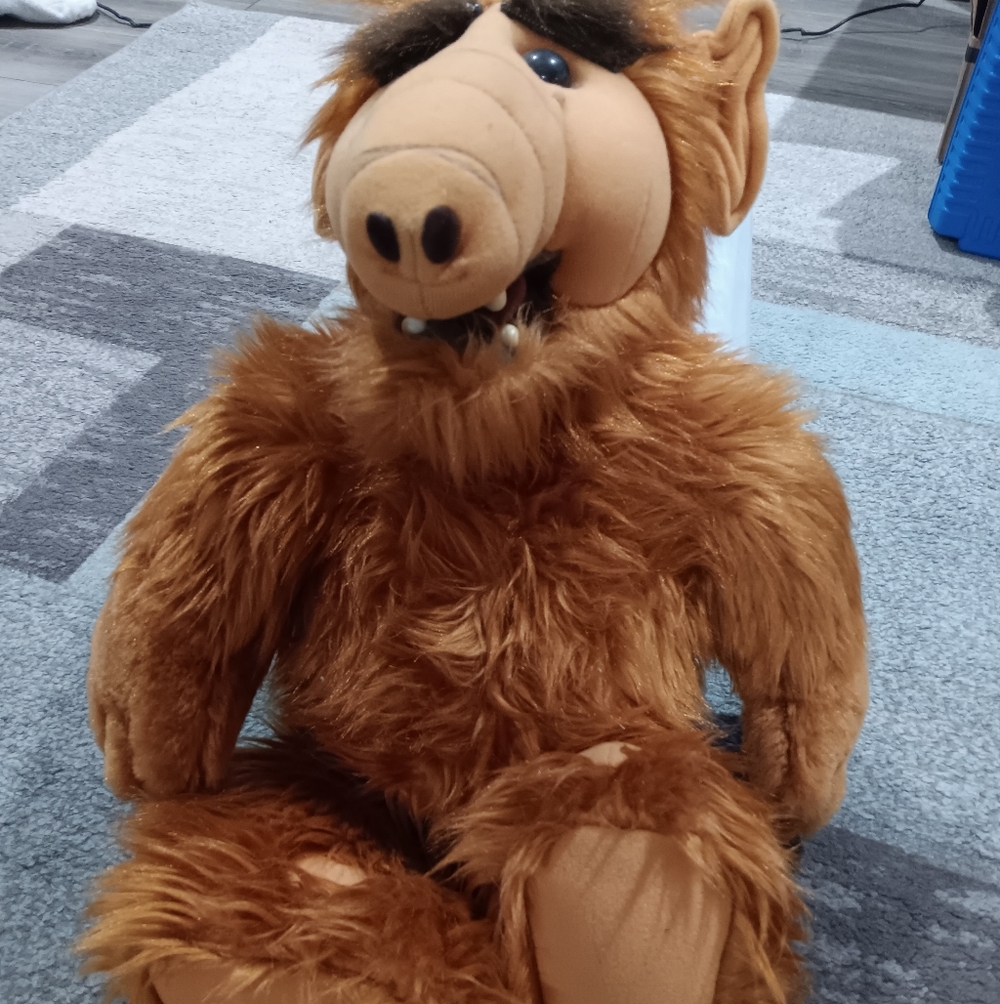 Brown Plush Toy